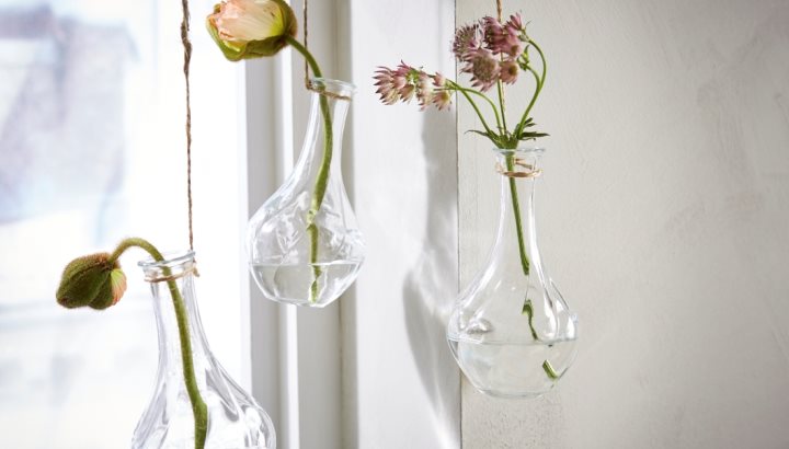 5 budget-friendly ways to decorate with plants